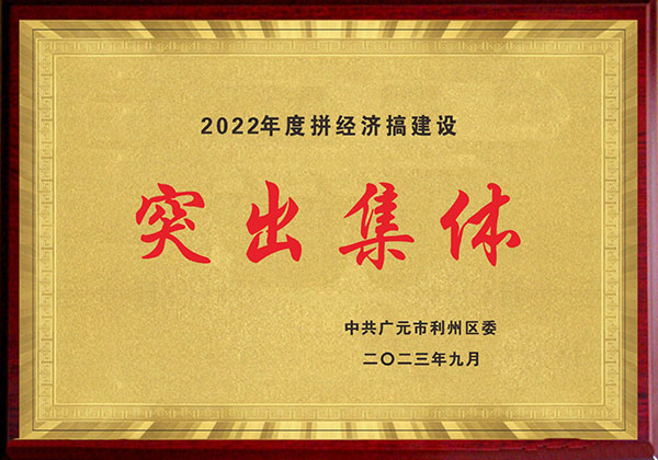 2022年度拼经济搞建设突出集体
