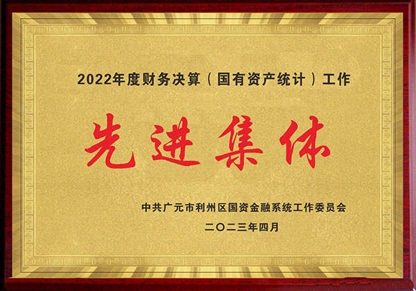 2022年度财务决算（国有资产统计）工作先进集体