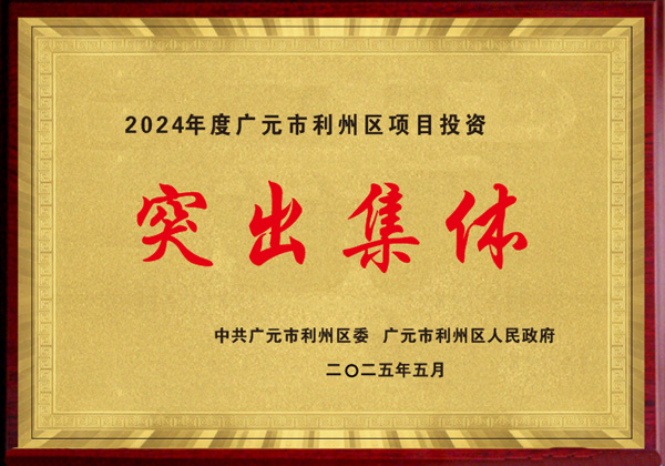 2024年度广元市利州区项目投资突出集体